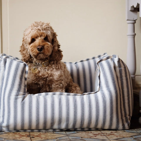 Dog Beds