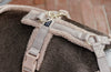 Dog Harness Active Teddy Fleece Beige