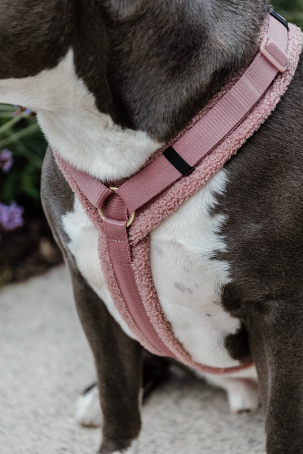 Dog Harness Active Teddy Fleece Rose