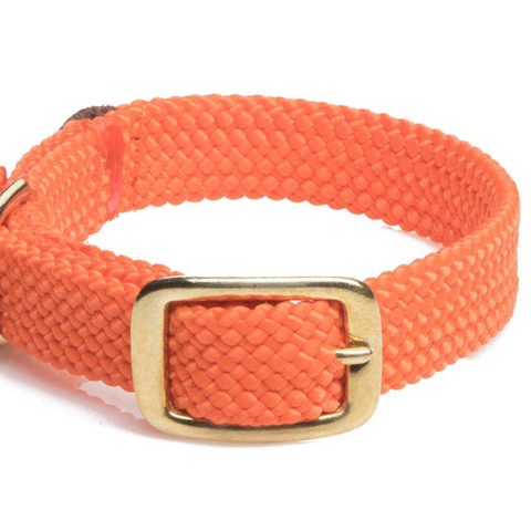 Dog Collar Orange