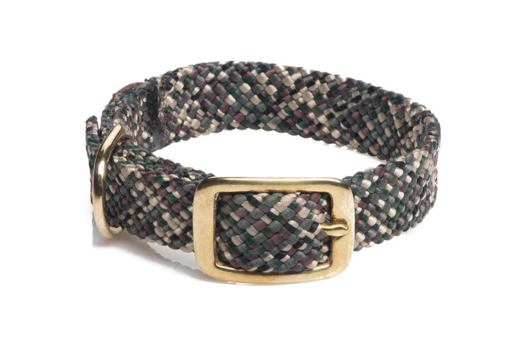 Dog Collar Tricolor