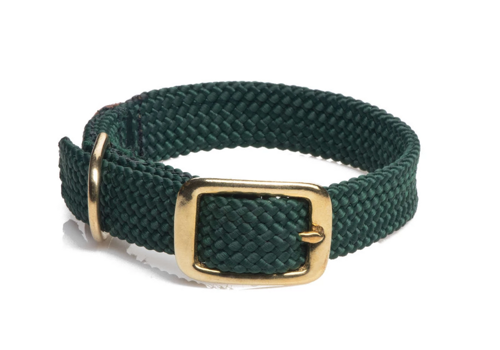 Dog Collar Green