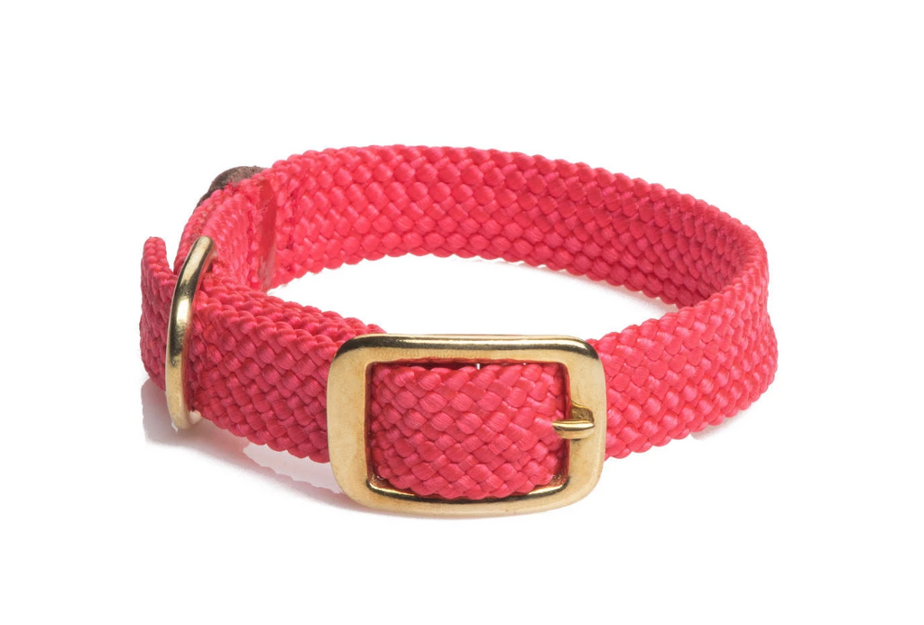 Dog Collar Red