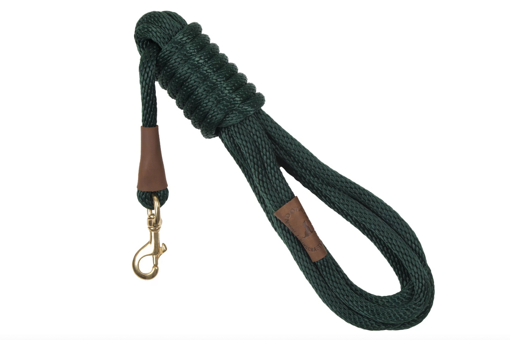 Long Dog Leash Green