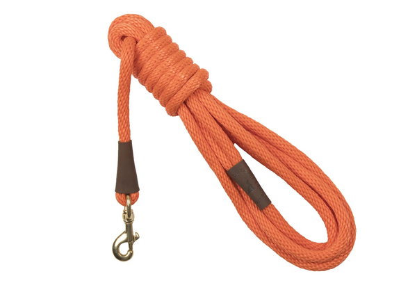 Long Dog Leash Orange