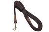 Long Dog Leash Brown