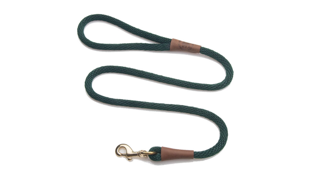 Dog Leash Green