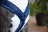 Dog Harness Active Velvet Navy