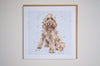 Greeting Card Cockapoo