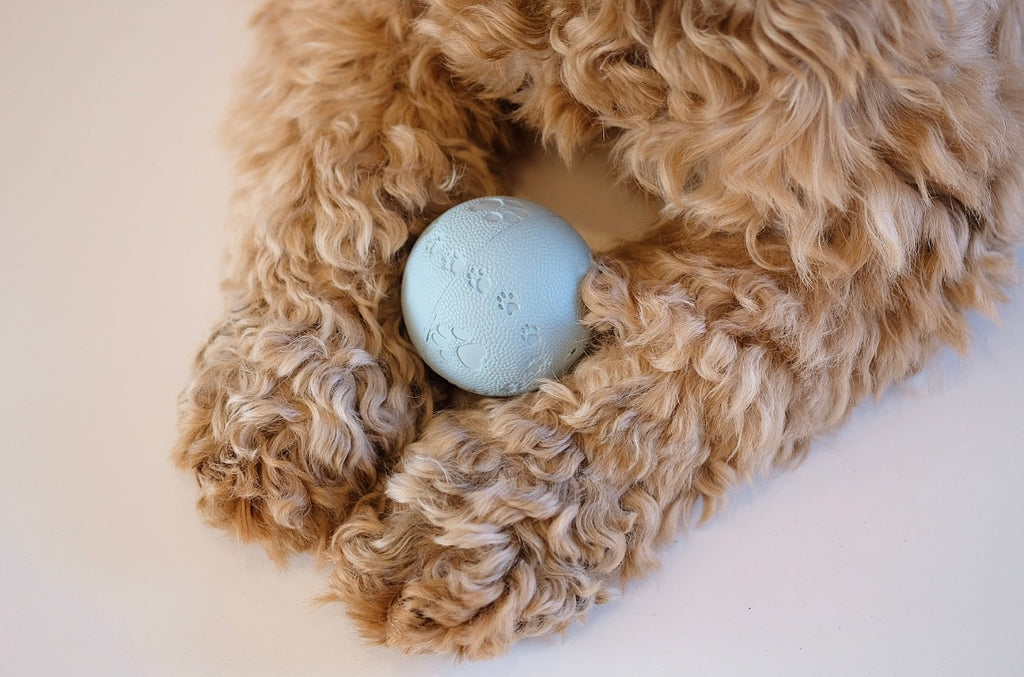 Puppy Play Ball Baby Blue