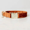 Dog Collar Velvet Orange