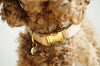 Dog Collar Wool Beige