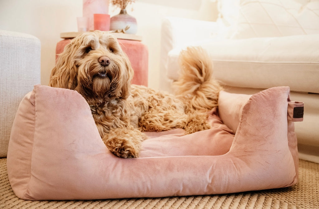 Dog Bed Velvet Old Rose