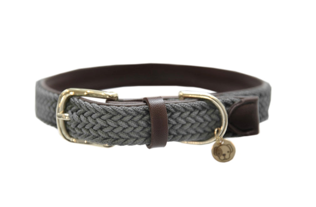 Plaited Nylon Dog Collar Grey