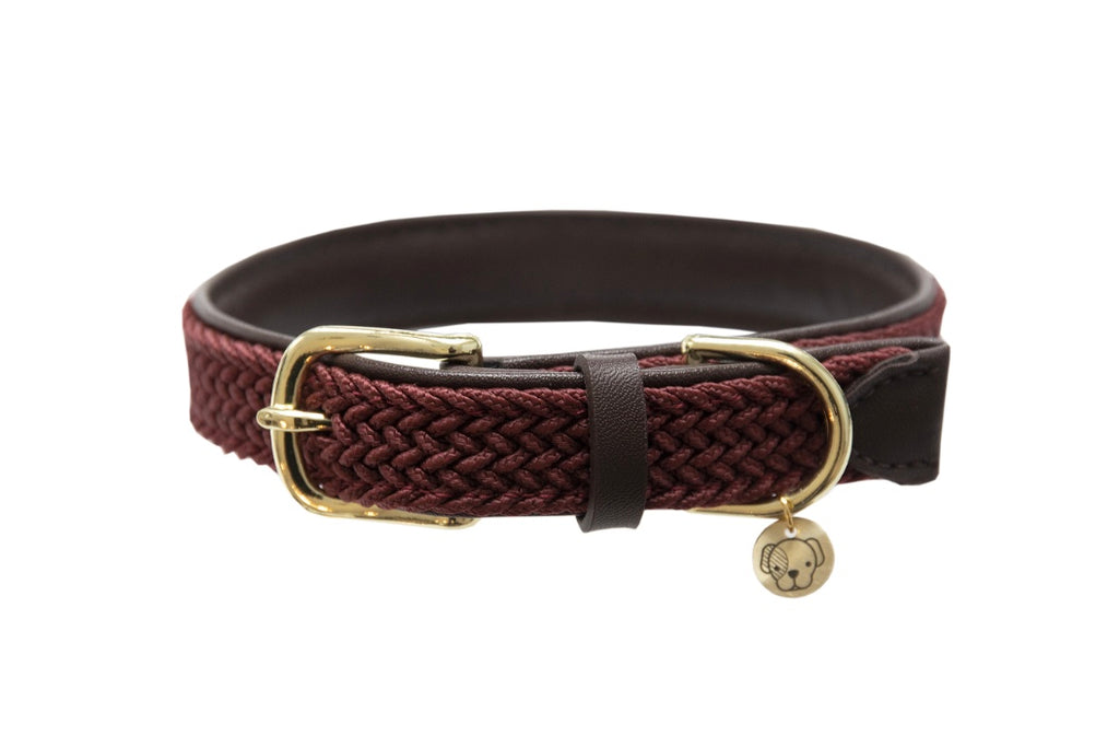 Plaited Nylon Dog Collar Bordeaux