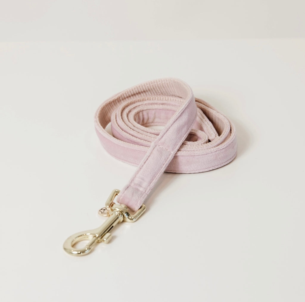 Dog Leash Velvet Light Rose