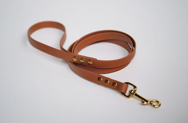 Dog Leash Waterproof