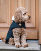 Dog Coat Dark Green