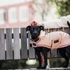 Dog Coat Waterproof Corall