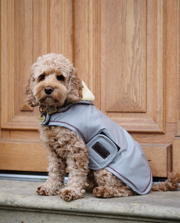 Dog Coat Waterproof Dusty Blue/ Grey