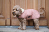 Dog Coat Waterproof Corall