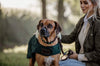 Dog Coat Dark Green