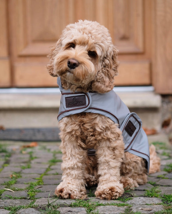 Dog Coat Reflective & Water Repellent