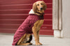 Dog Coat Bordeaux