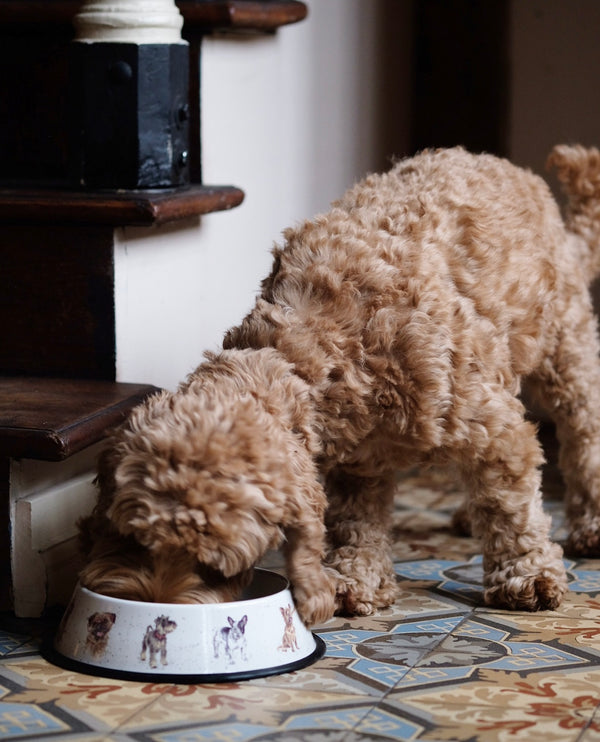 'Happy Dog' Bowl