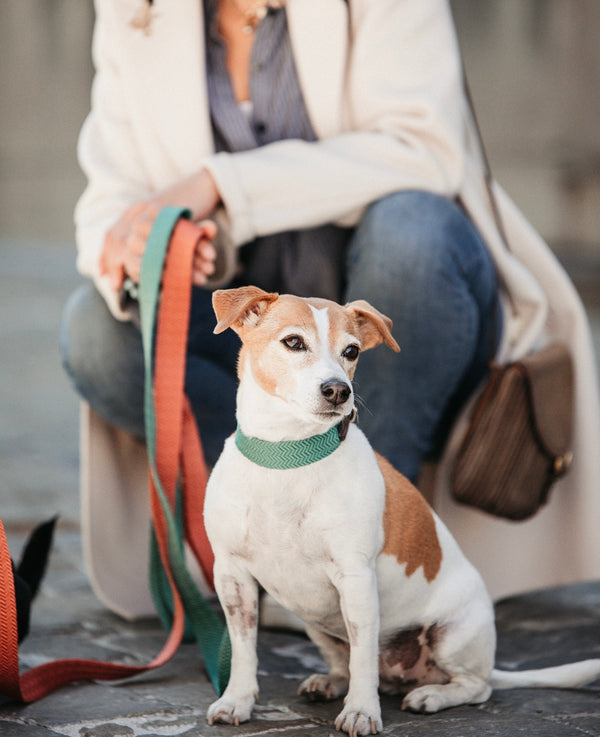 Dog Leash Jacquard Neon Orange