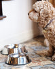 Stainless Steel Dog Bowl