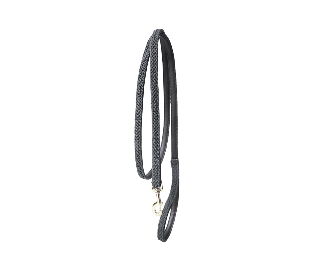 Plaited Nylon Dog Leash Grey