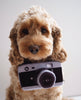 Plush Toy Camera