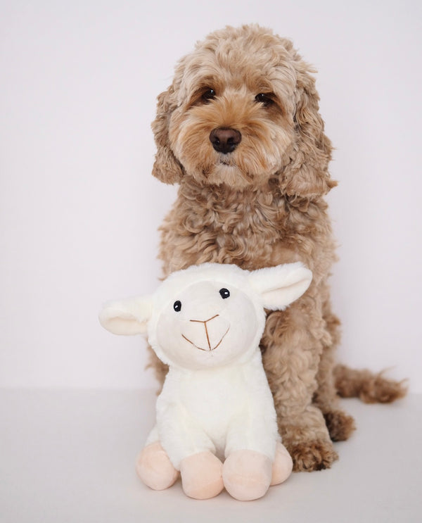 Plush Sheep Sammy