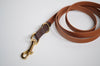 Premium Dog Leash Waterproof