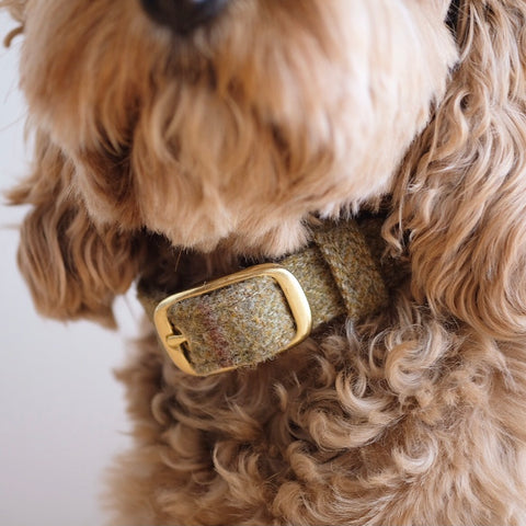 Tweed Dog Collar Beige