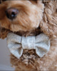 Bow Tie Light Grey