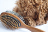 Dog Brush