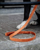 Dog Leash Velvet Orange