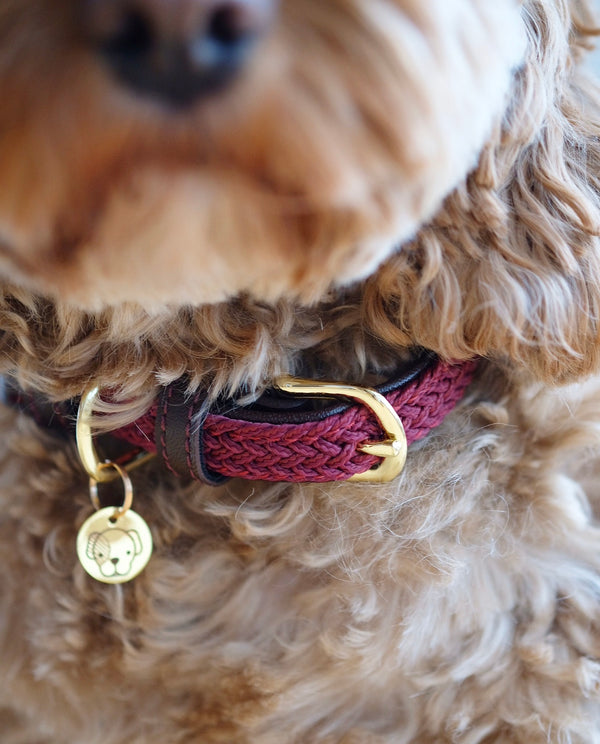 Plaited Nylon Dog Collar Bordeaux