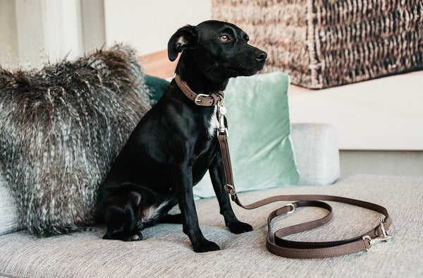 Dog Leash Velvet Leather Brown