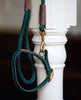 Dog Leash Green