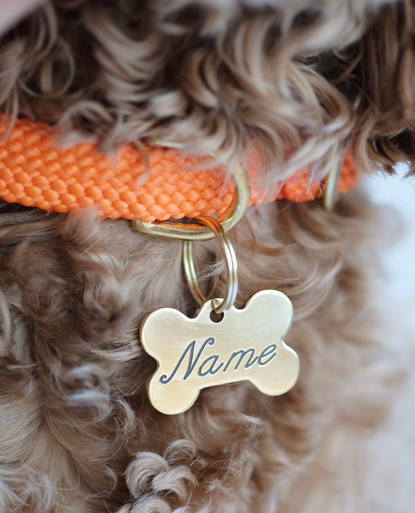 Bone Shaped Brass Dog Tag - Cursive