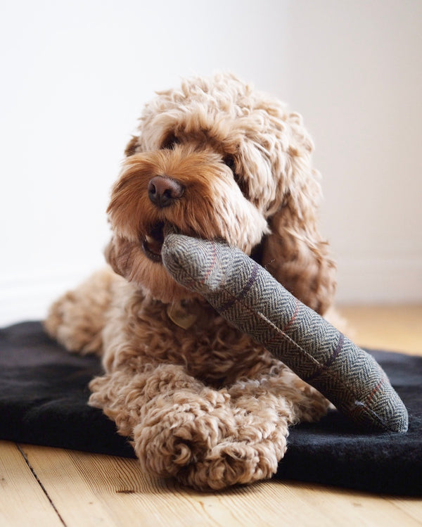 Tweed Bone Dog Toy Brown